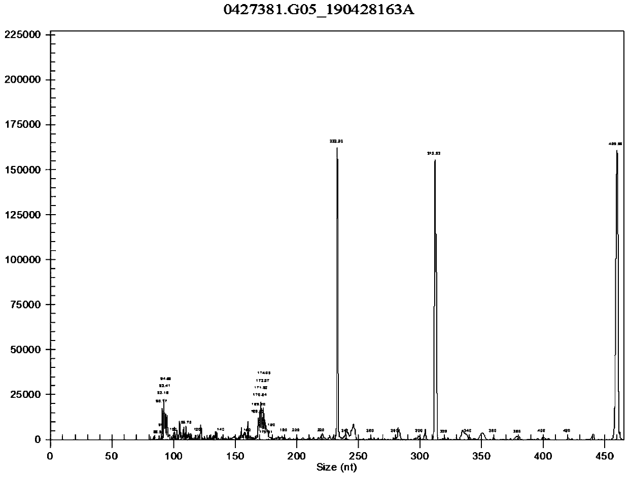 PCR primer group and kit for detecting JAK2V617F and CALR ninth exon gene mutation