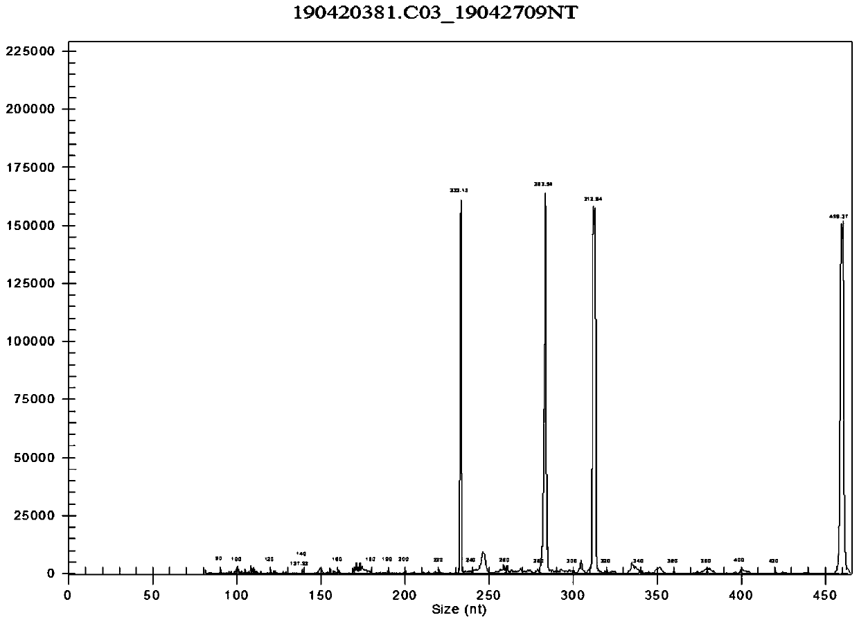 PCR primer group and kit for detecting JAK2V617F and CALR ninth exon gene mutation