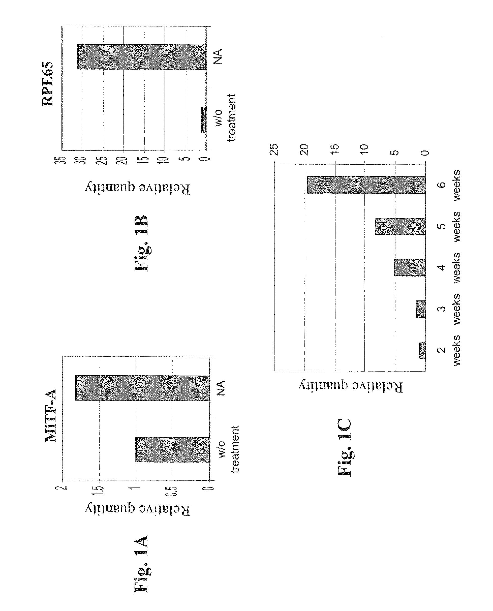Retinal pigment epithelial cells differentiated from embryonic stem cells with nicotinamide and activin A