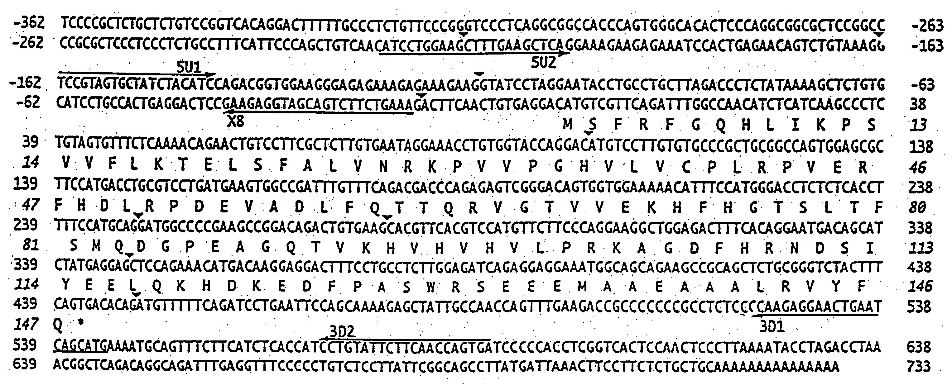 FHIT proteins and nucleic acids and methods based thereon