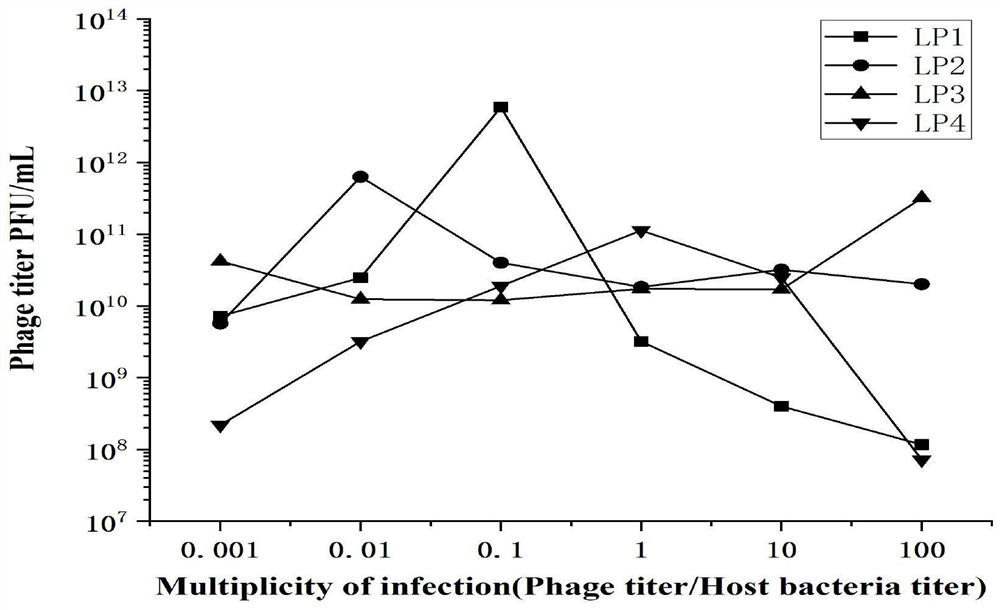 Separation and screening method based on Listeria monocytogenes bacteriophage