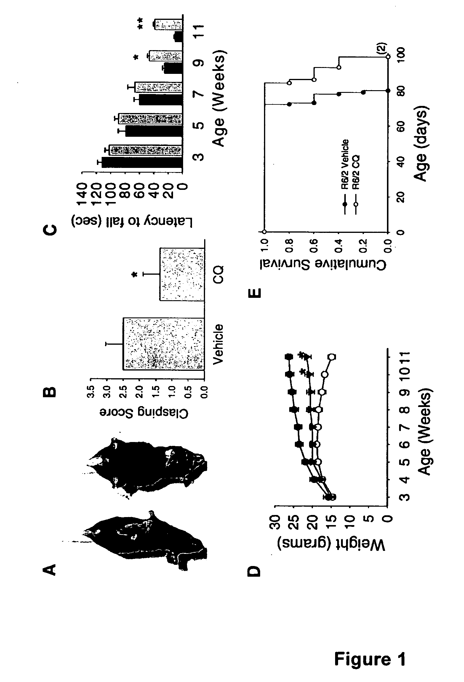 8-hydroxyquinoline compounds for treating a polyglutamine (polyQ)-expansion disease