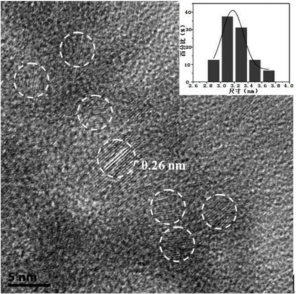 A kind of organosilicon functionalized red light carbon quantum dot and its preparation method and application