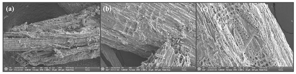 Preparation method of extreme-micropore-enriched carbon material based on carboxylation anchoring effect