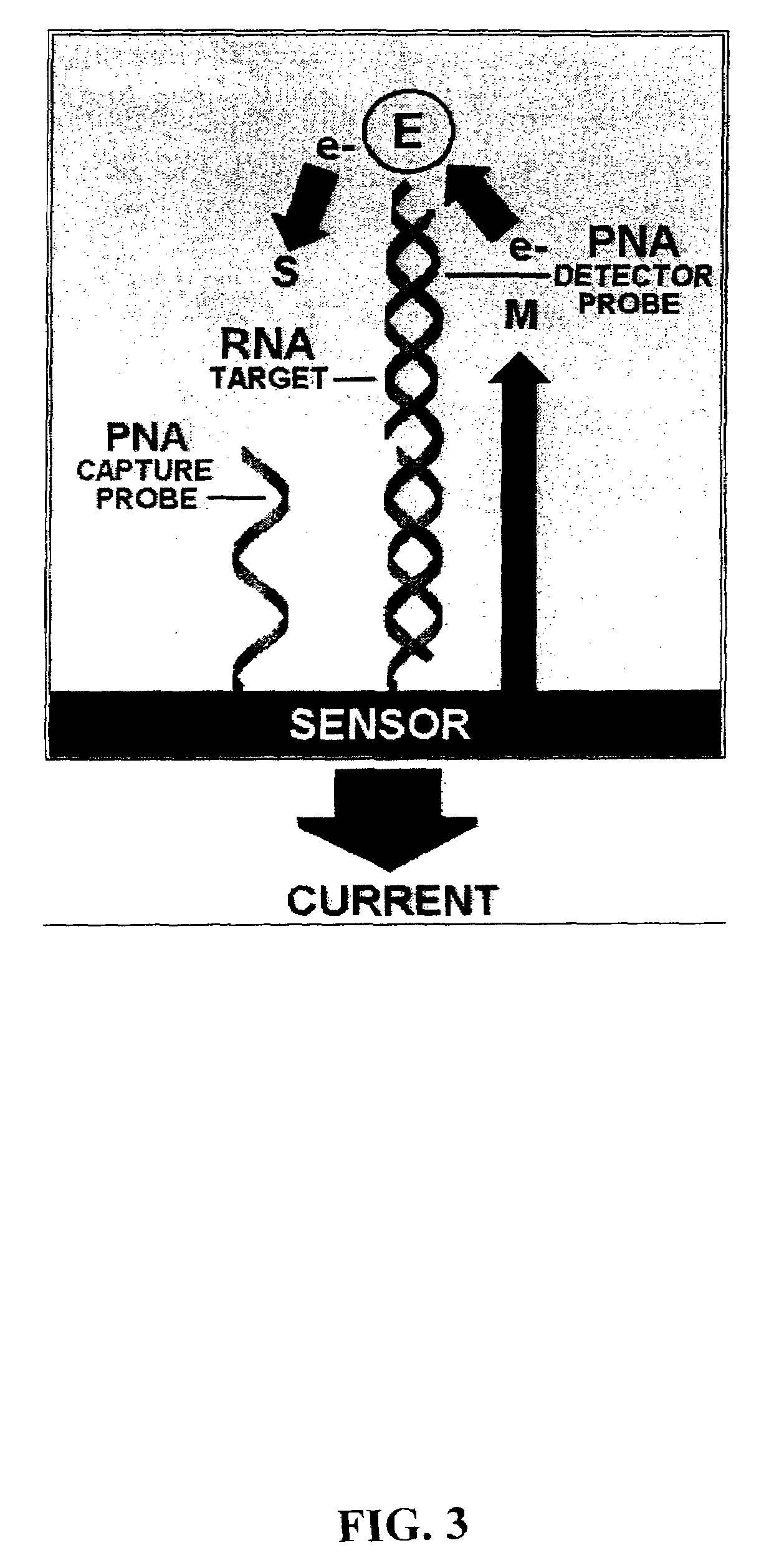 Electrochemical detection of nucleic acid sequences
