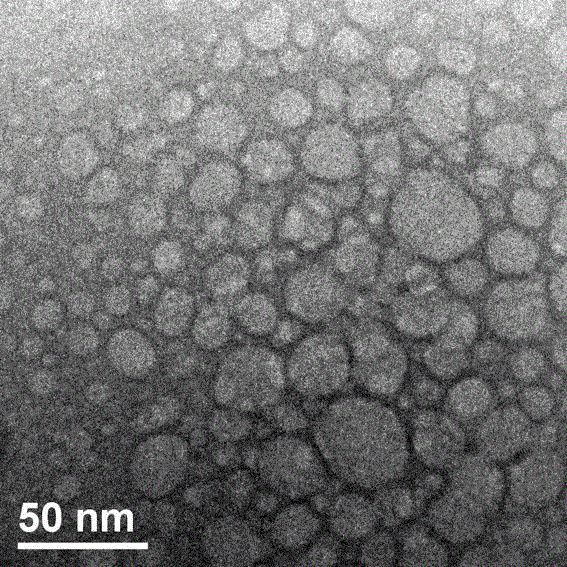 Preparation method of chlorpromazine hydrochloride polycystic sustained-release granules