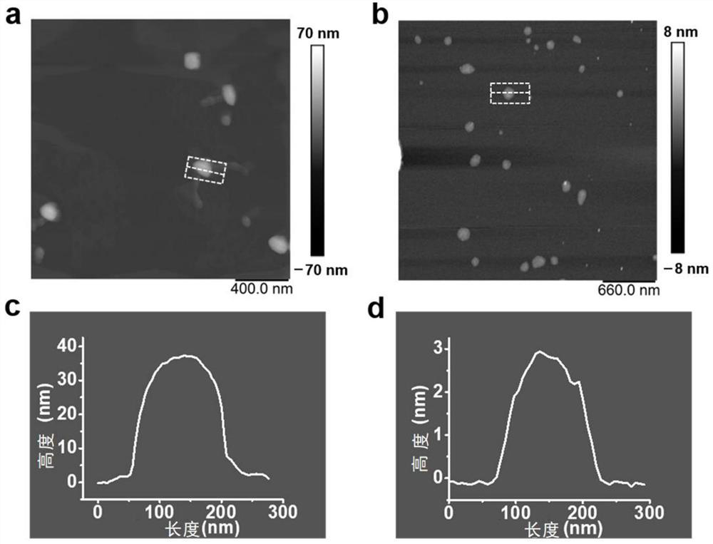 Application of covalent organic nanosheet material