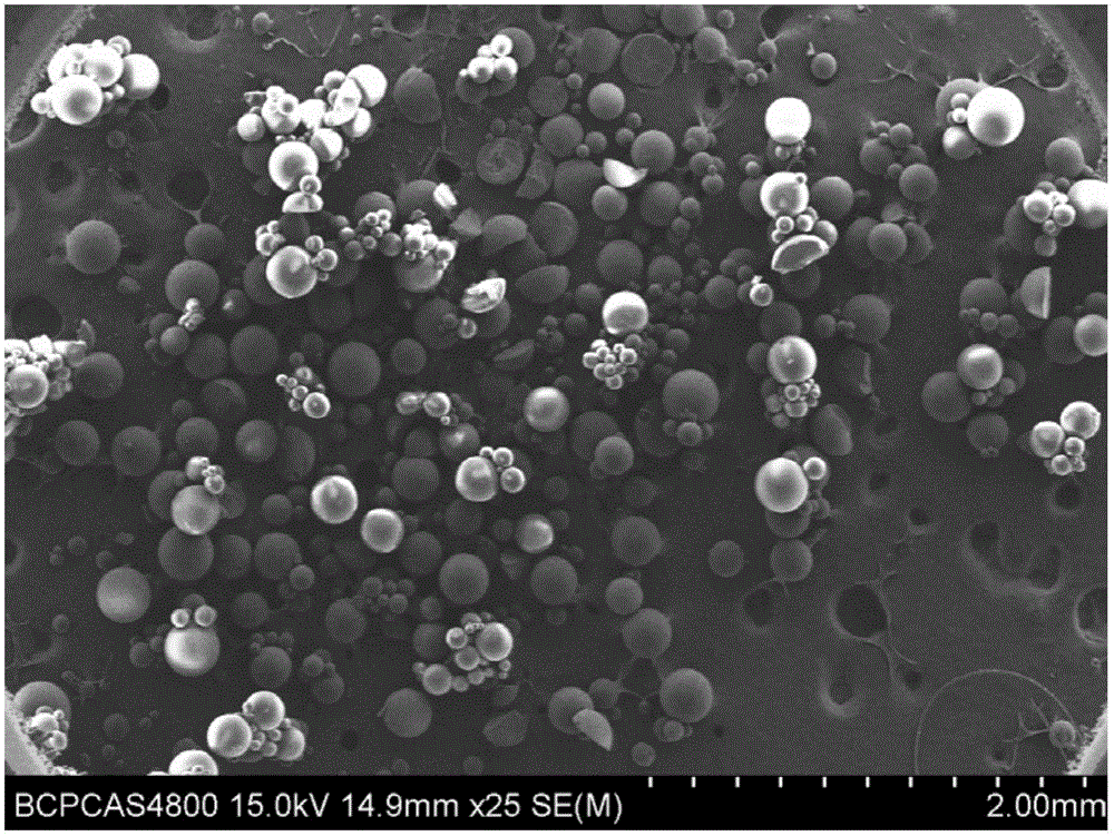 Molecular imprinted column capable of separating clenbuterol, salbutamol and ractopamine at same time