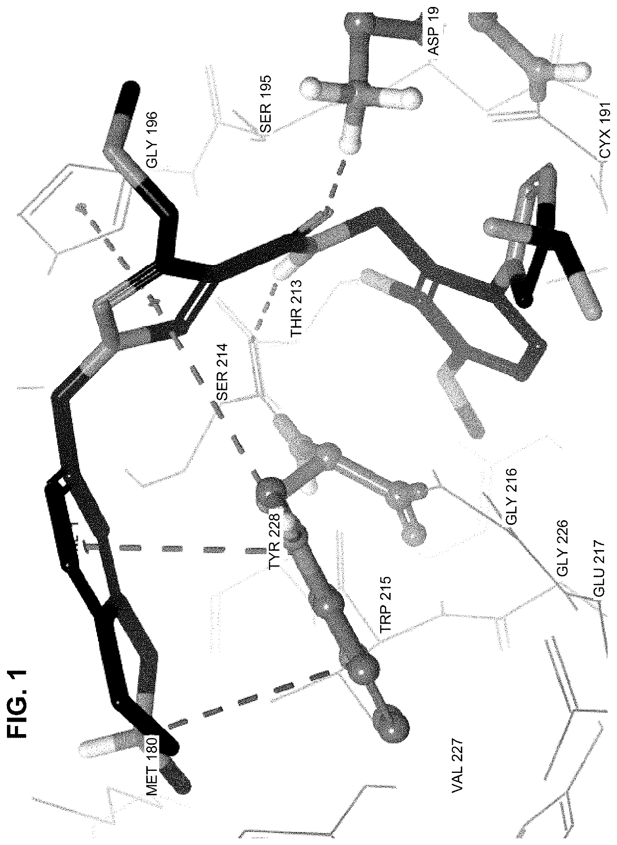 Enzyme inhibitors