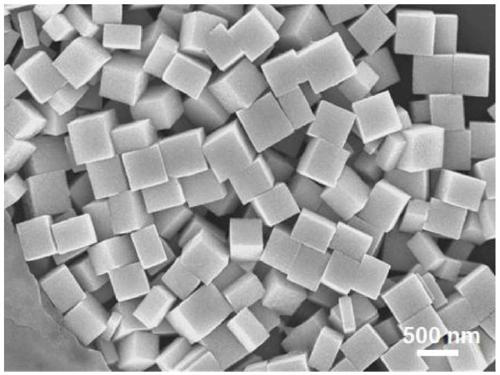 Nano-structured catalyst capable of activating multiple catalytic effects, and application thereof