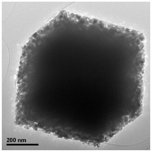 Nano-structured catalyst capable of activating multiple catalytic effects, and application thereof