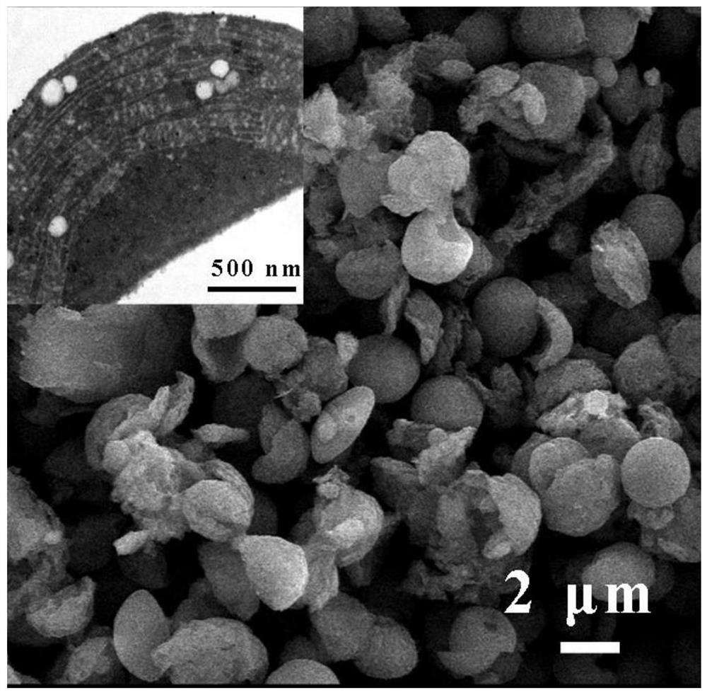A kind of relic derived composite material and its preparation method and application