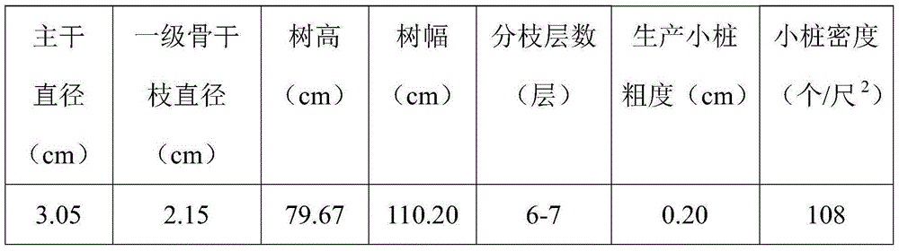 Slow-release and long-acting organic-inorganic compound fertilizer