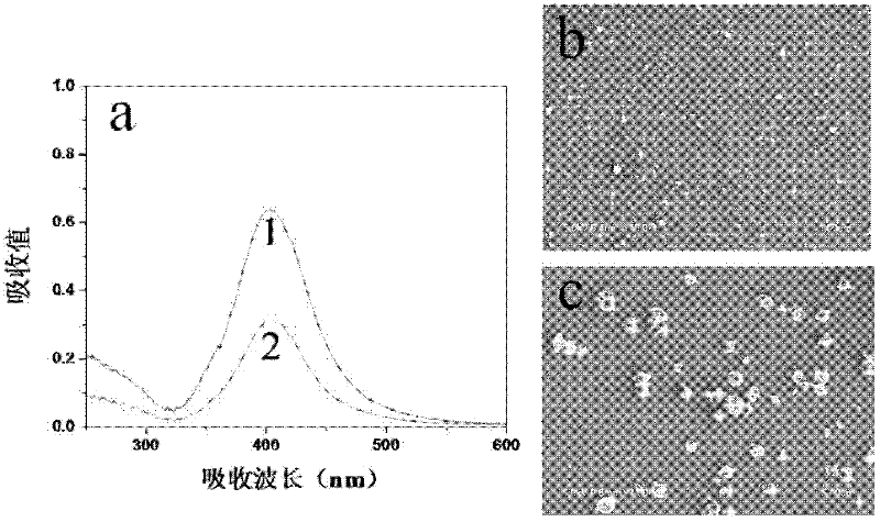 Adapter modified nano silver, reagent kit and application thereof