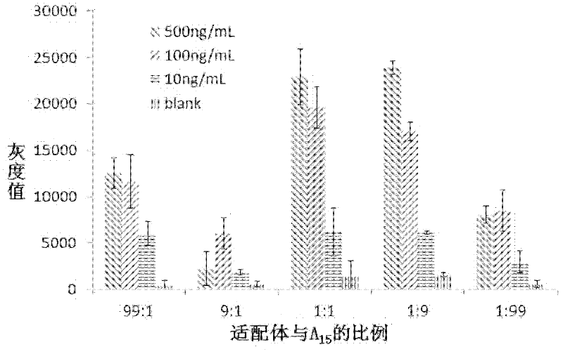 Adapter modified nano silver, reagent kit and application thereof