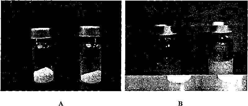 Nano microsphere preparation used for chemotherapy of tumors and preparation method thereof