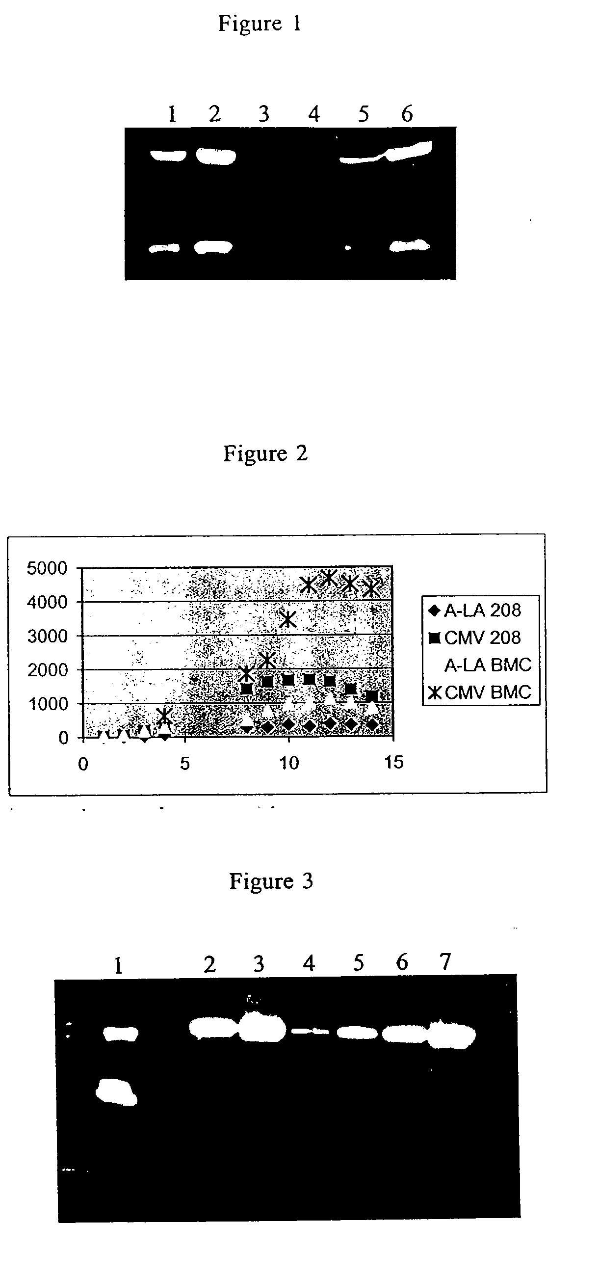 Host Cells Containing Multiple Integrating Vectors