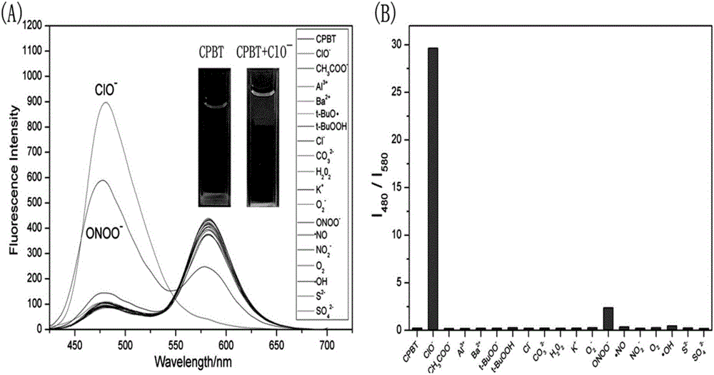 Fluorescence resonance energy transfer (FRET) mechanism based ratio fluorescent probe for hypochlorous acid in targeting mitochondrion and application thereof