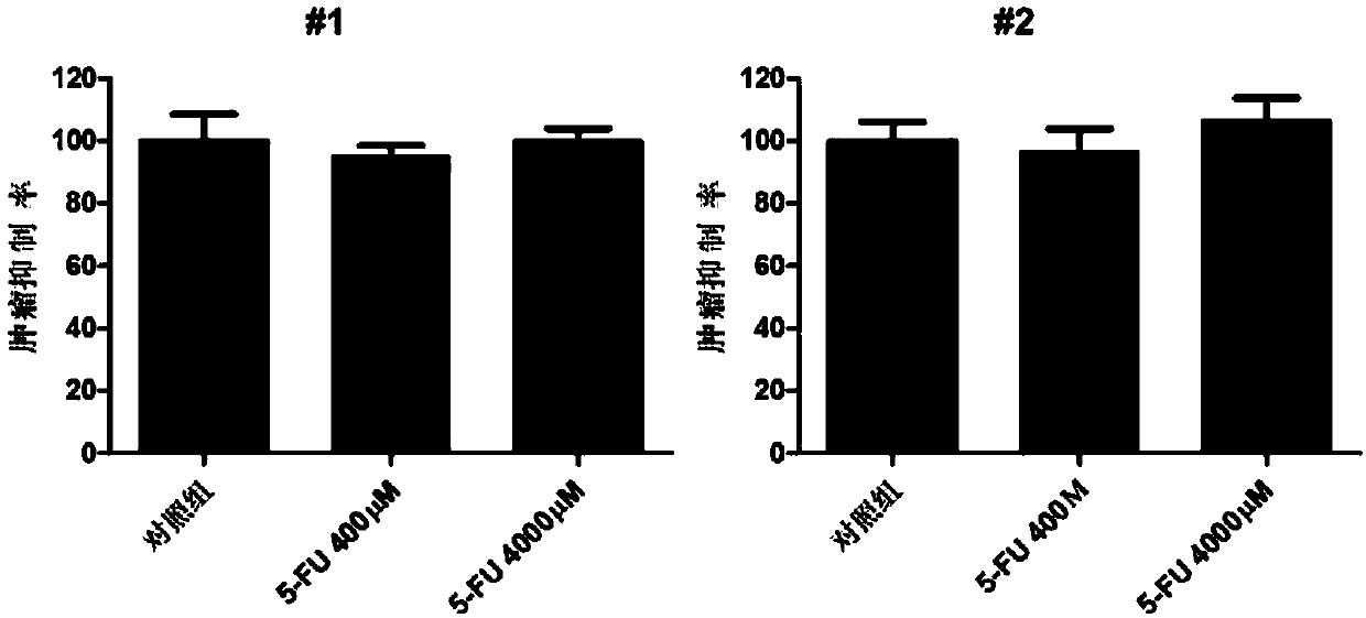 Tumor cell heterogeneic transplantation zebrafish model, construction method and application thereof