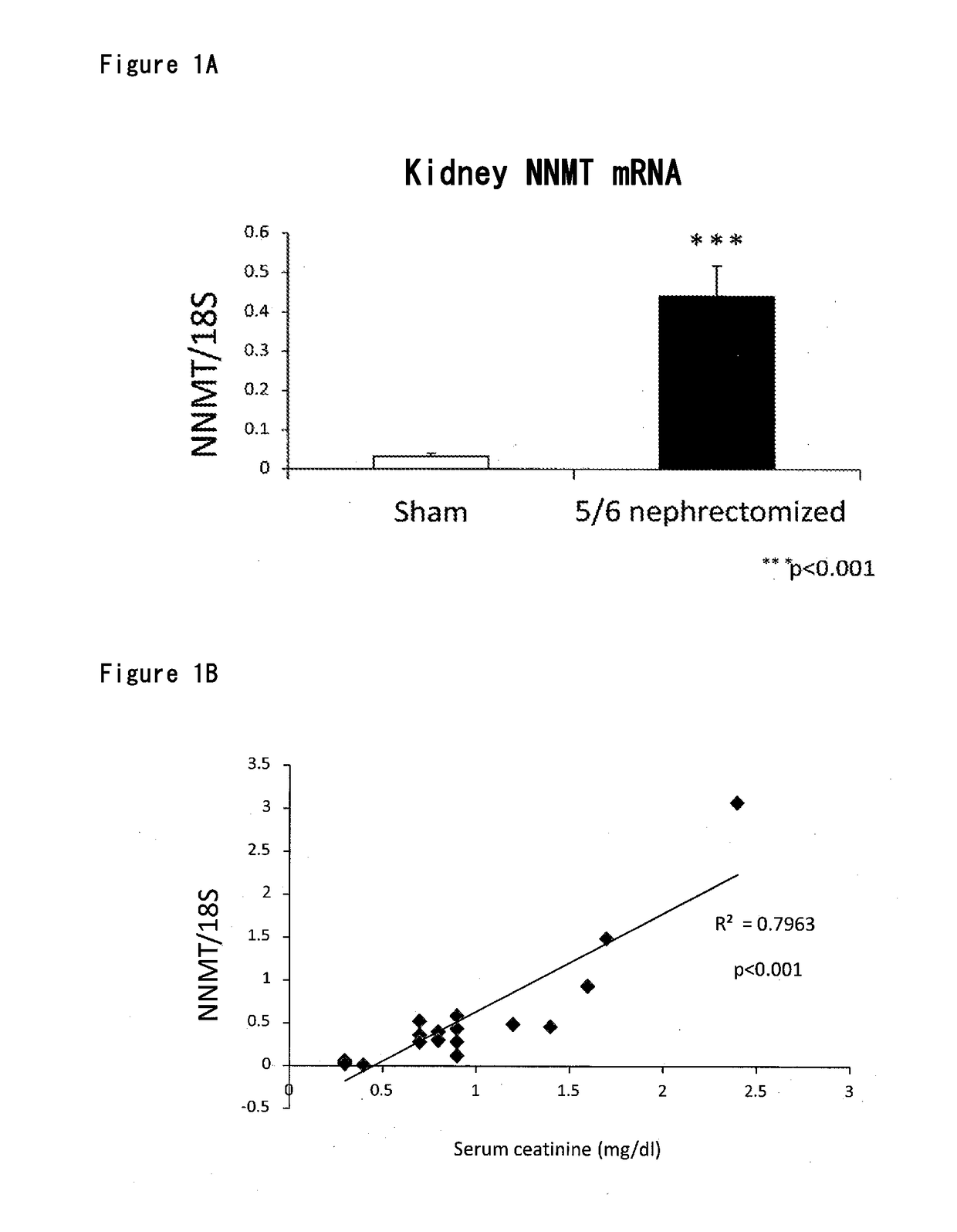 Pharmaceutical composition for treating chronic kidney disease