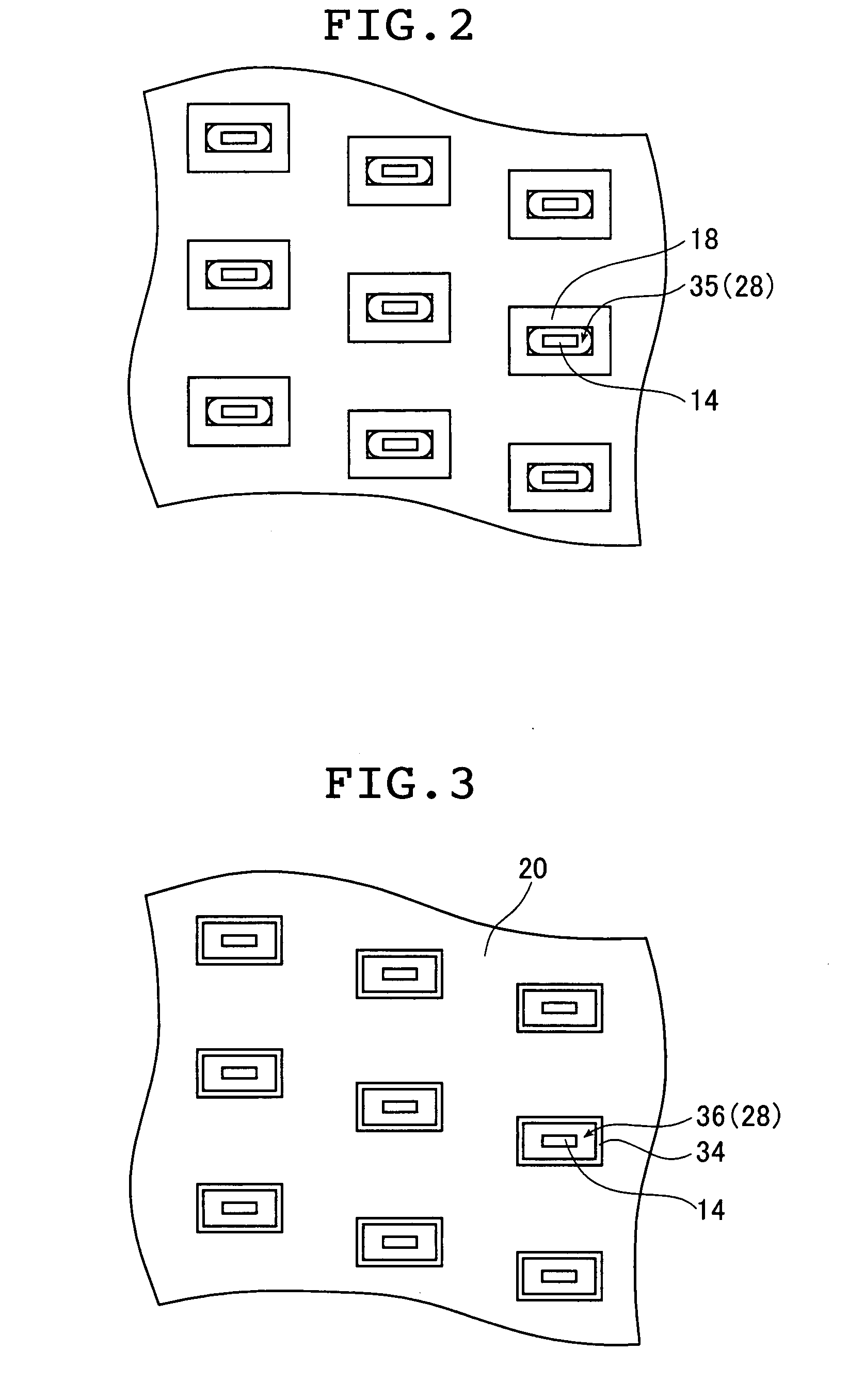 INK jet recording head and ink jet recording apparatus