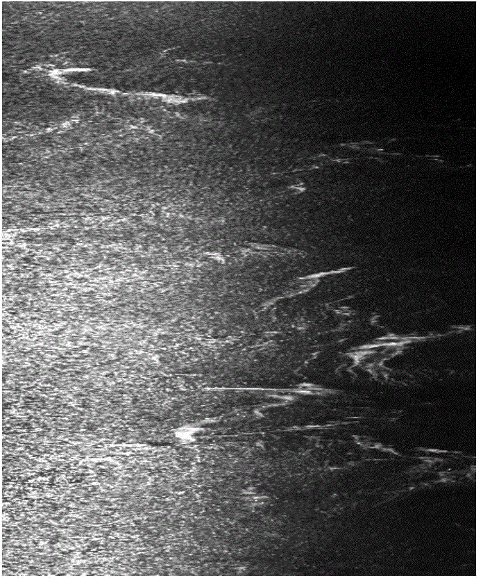 Red tide detection method based on AISA aerial hyperspectral image