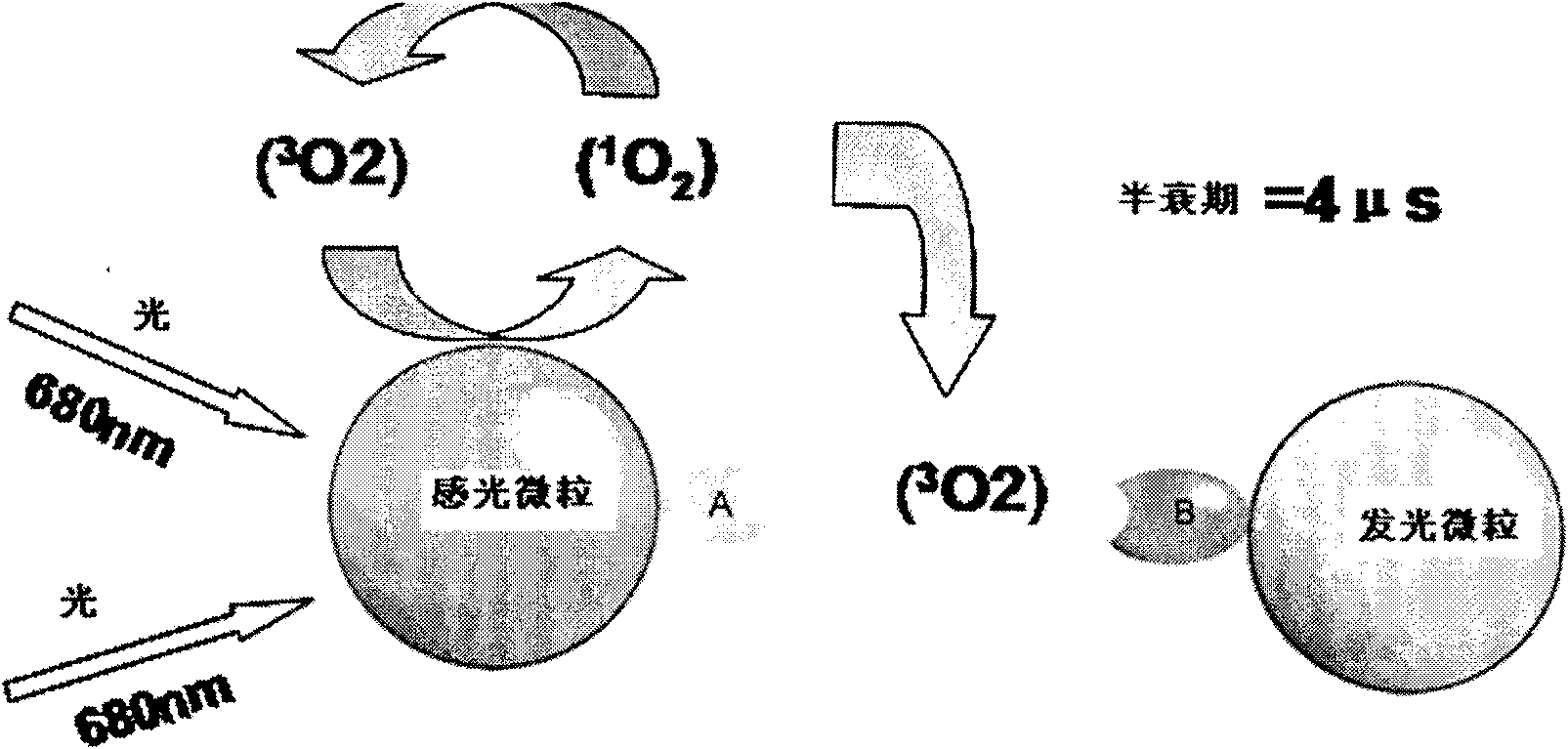 Tetraiodothyroxide test kit and use method thereof