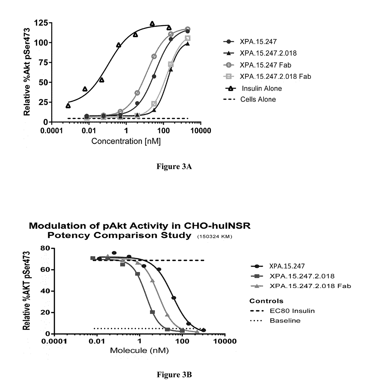 Antibody Fragments Against the Insulin Receptor and Uses Thereof to Treat Hypoglycemia