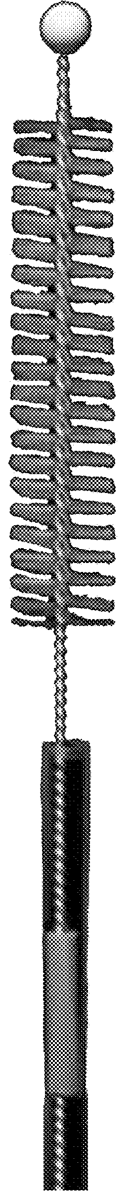 Brush biopsy device, kit and method