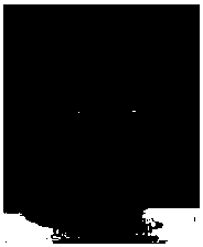 Anti-baldness hair growth promoter and preparation method thereof