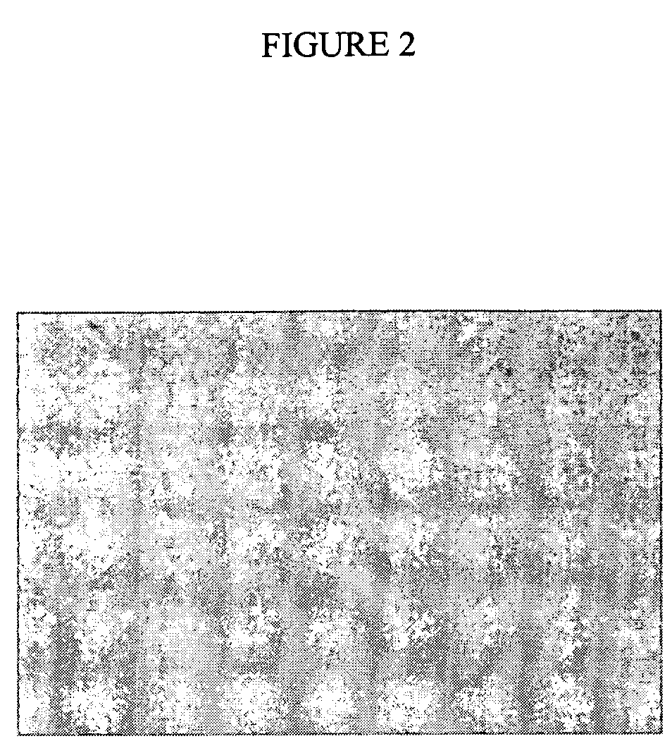 Fluorine-free disiloxane surfactant compositions for use in coatings and printing ink compositions