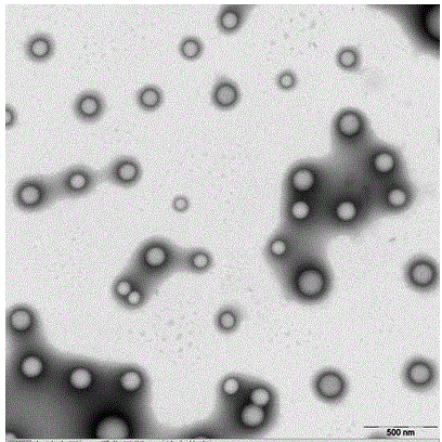 10-hydroxycamptothecine nanometer microsphere and preparation method thereof