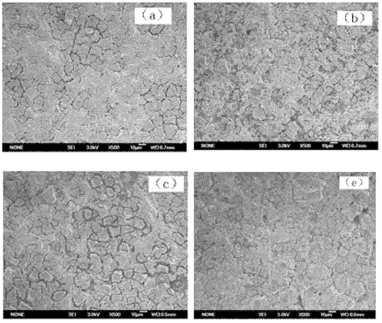 Preparation method of rare earth Pr (praseodymium)-Dy (dysprosium) doped nanometer titanium-based tin dioxide-antimony double coating electrode