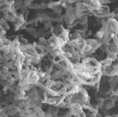 A kind of preparation method of carbon nanotube-nickel-nickel cobalt silicate catalyst