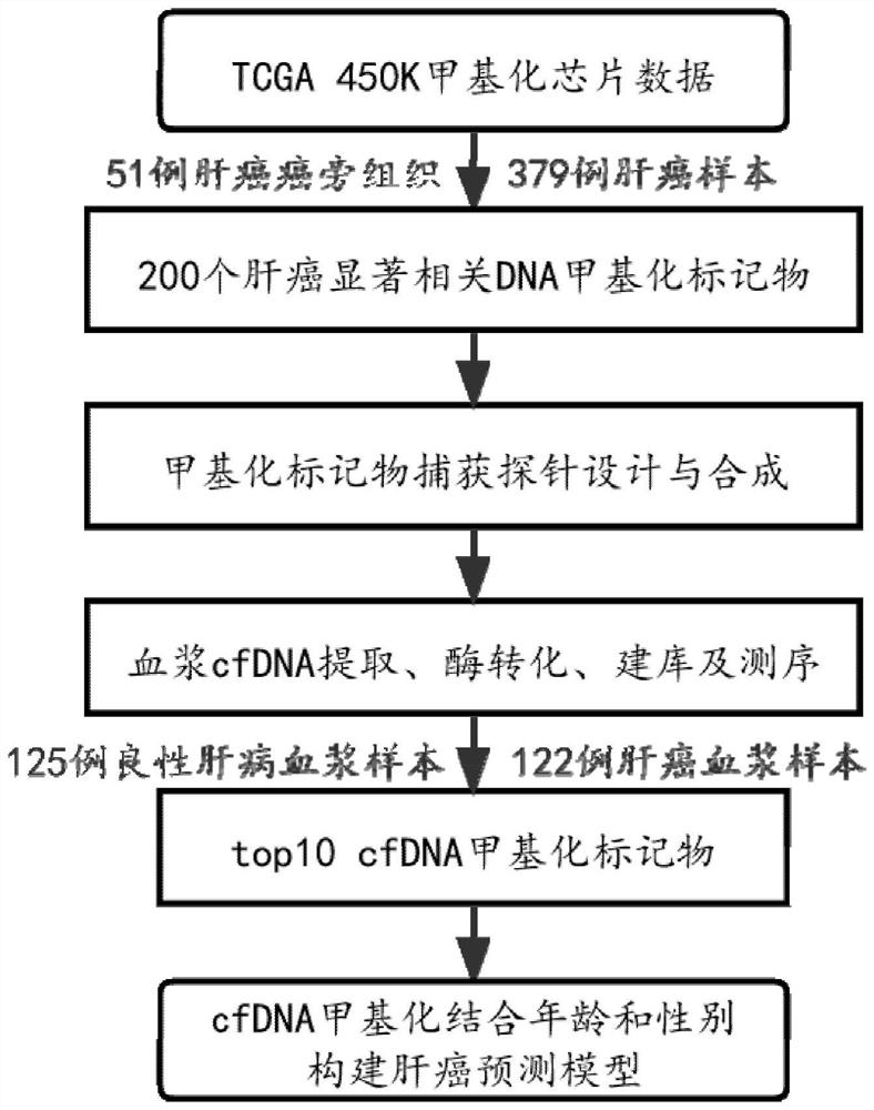 DNA methylation biomarker or composition for early liver cancer detection and application of DNA methylation biomarker or composition