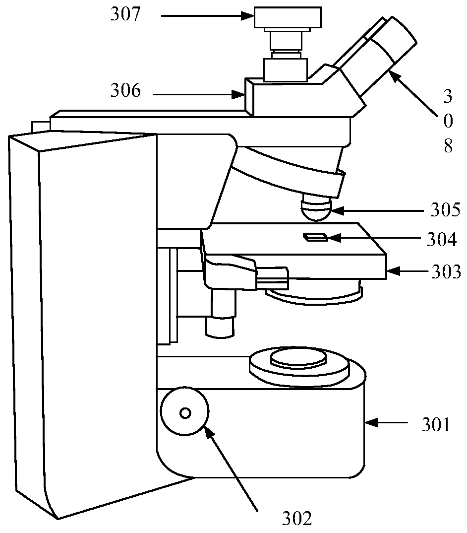 Microscope automatic focusing method, microscope system, medical equipment and storage medium
