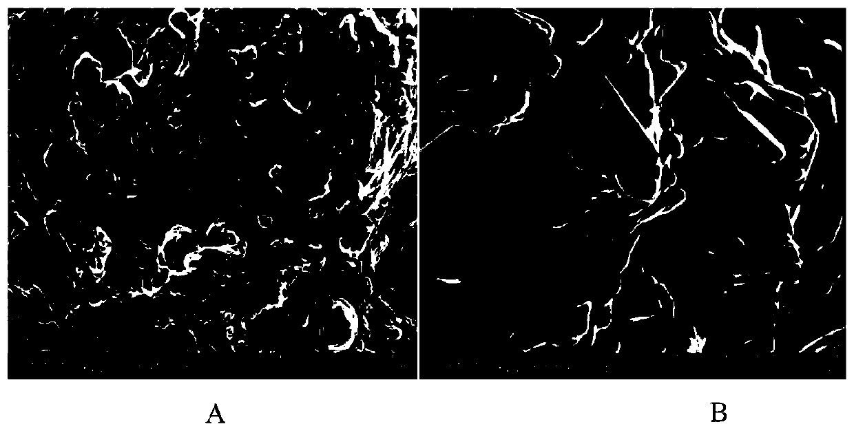 An external preparation for improving transdermal absorption of usnic acid and its application in promoting skin wound healing