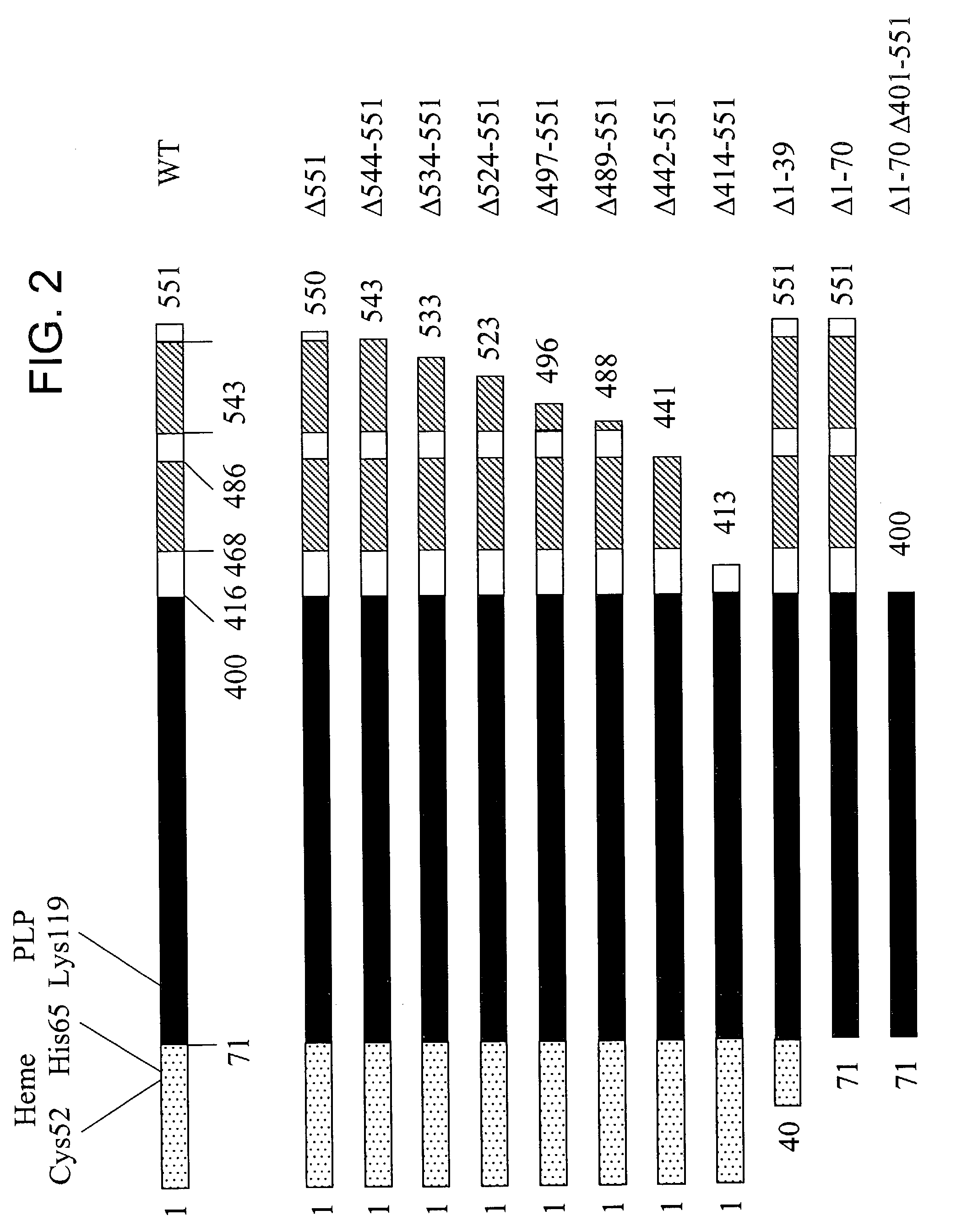 Human cystathionine beta-synthase variants and methods of production thereof