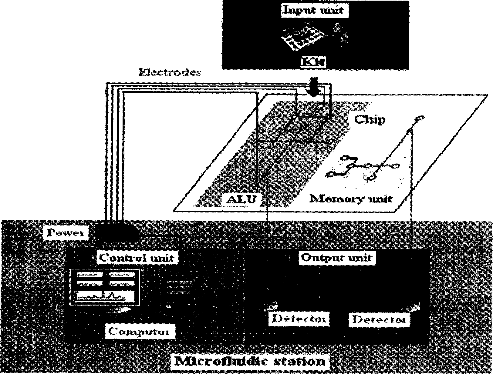 DNA molecular computer with microflow controlled chips