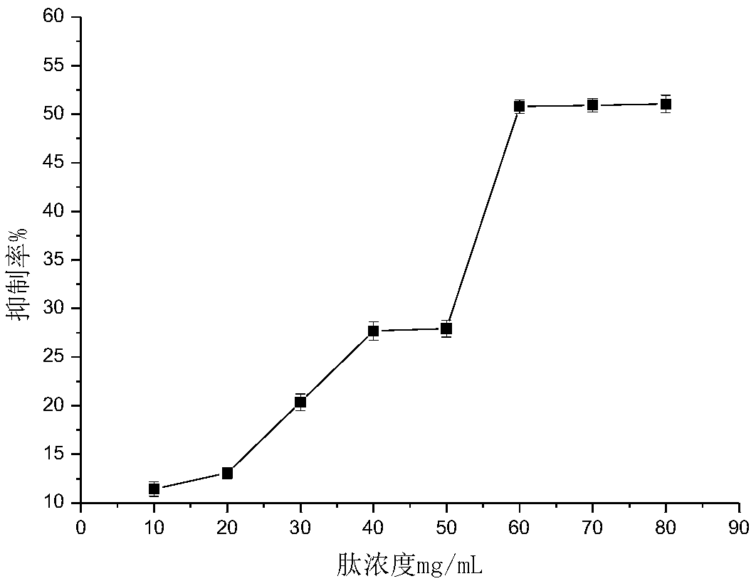 Quinoa peptide and preparation method and application thereof