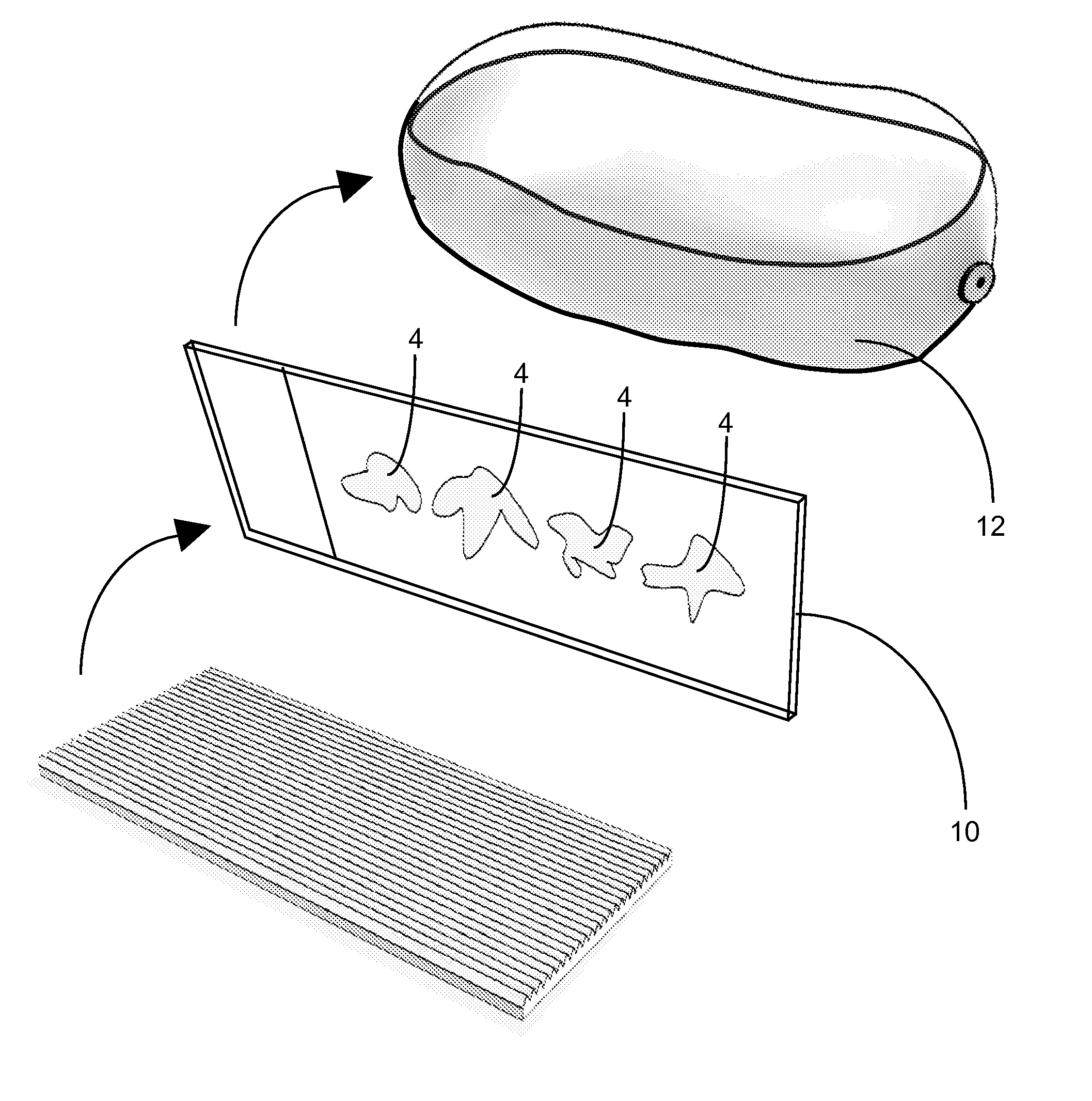 Apparatus and method for affixing frozen tissue sections to glass or membrane microscope slides