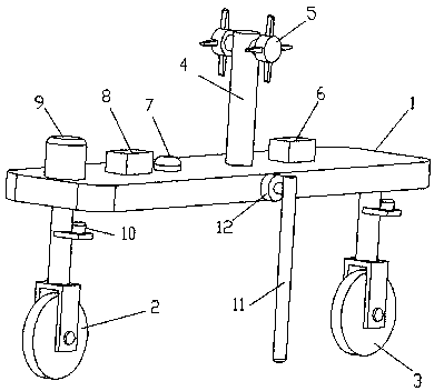 Self-balanced two-wheeled agricultural vehicle