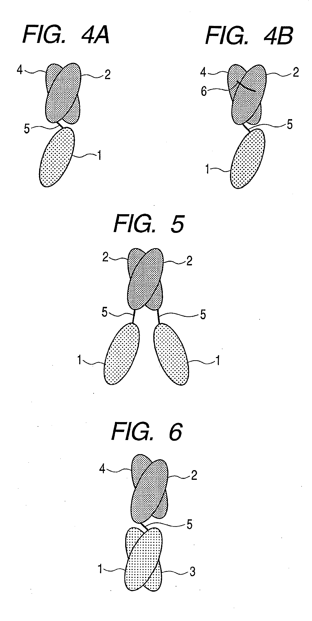 Protein, method for immobilizing protein, structure, biosensor, nucleic acid, vector and kit for detecting target substance