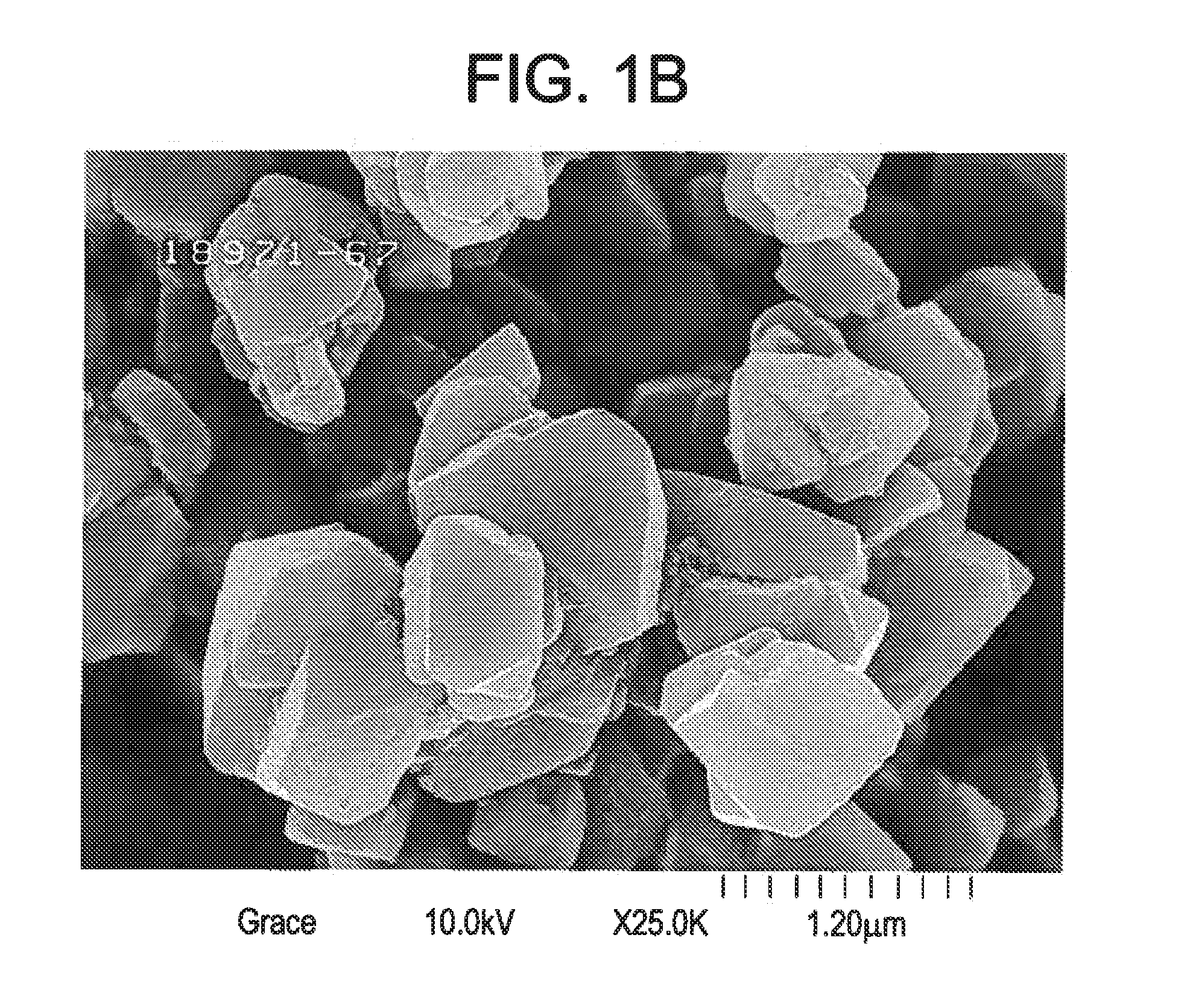 Novel ultra stable zeolite y and method for manufacturing the same