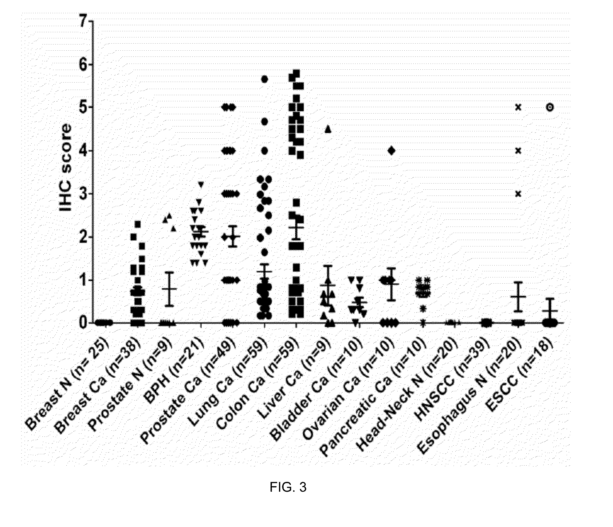 Methods and Compositions for the Diagnosis and Treatment of Epithelial Cancers