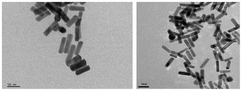 Preparation method and application of tumor-targeted nano-artificial antibody