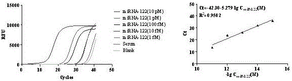 Method of enriching and detecting miRNA in sample on the basis of magnetic bead coupled antibody, and matched microfluidic apparatus