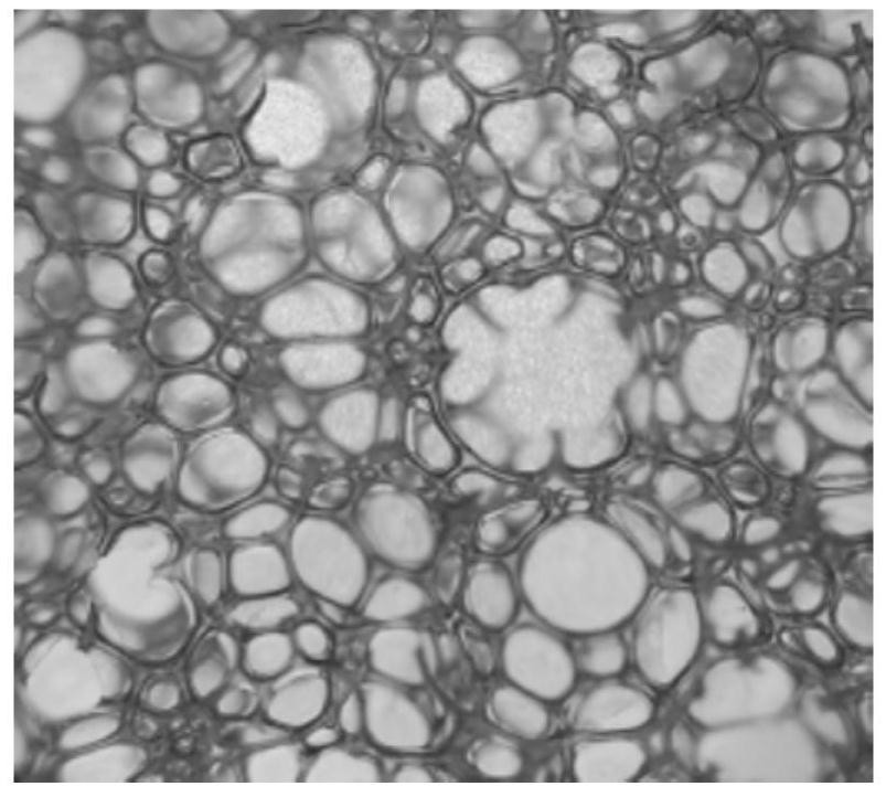 Modified polyether polyol and its application in polyurethane foam