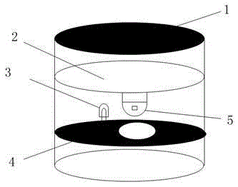 Infrared detection device for detecting human body and control method of infrared detection device