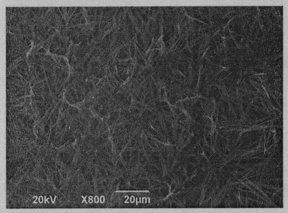 Electrochemical method for preparing HA/ZrO2 (hydroxylapatite/zirconia) gradient coating on surface of medical titanium